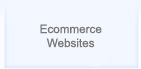 Ecommerce Website, Ecommerce Website Development, Ecommerce Web Designing, Ecommerce Website Designer, Ecommerce Payment Intergration