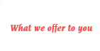 What we offer to you - Web Designing, Website Development, Ecommerce Website, Application Development, Web Hosting, Website Maintenance, Search Engine Marketing, Search Engine Promtion, Multimedia Presentation